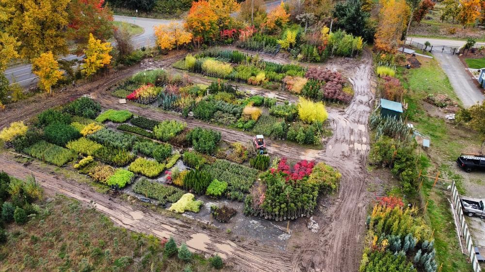 Woodburn nursery grow field photo 17 at The Nursery Outlet