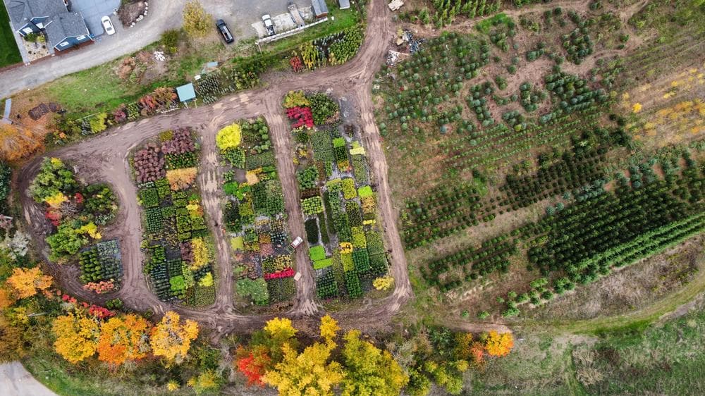 Woodburn nursery grow field photo 20 at The Nursery Outlet