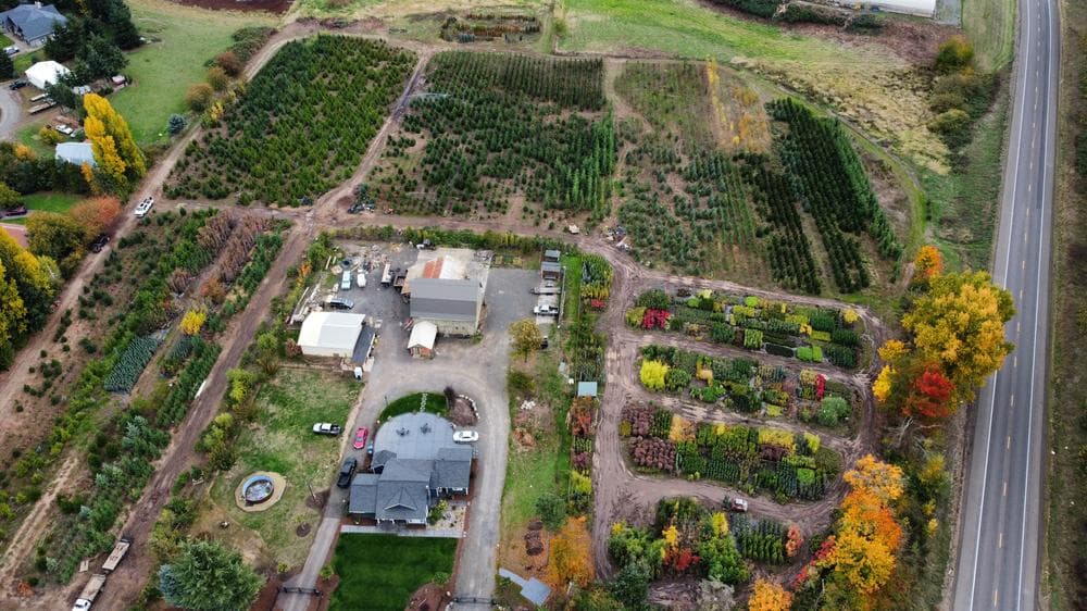 Woodburn nursery grow field photo 21 at The Nursery Outlet