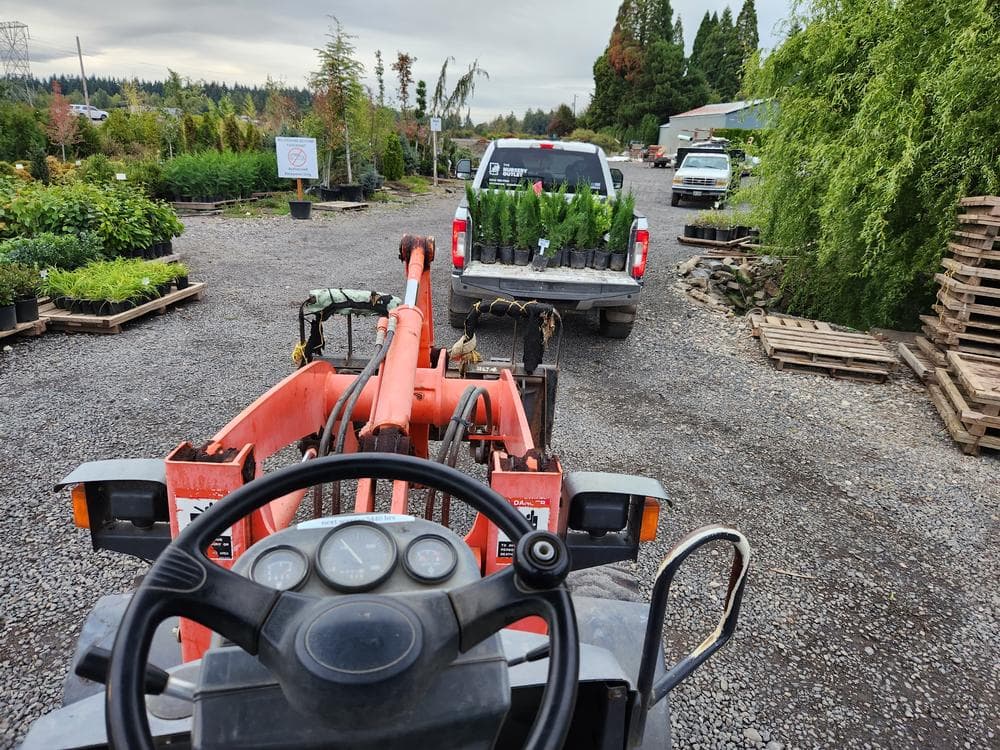 Tree delivery and planting installation photo 10 by The Nursery Outlet