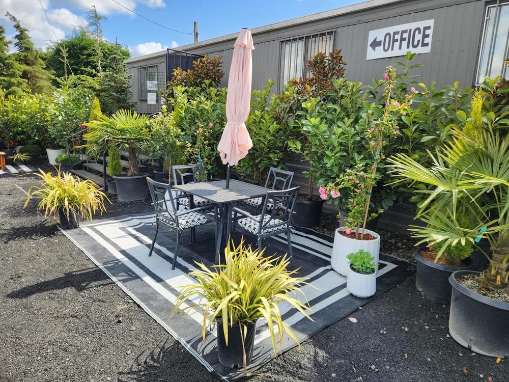 Locally grown nursery plant photo 12 at The Nursery Outlet