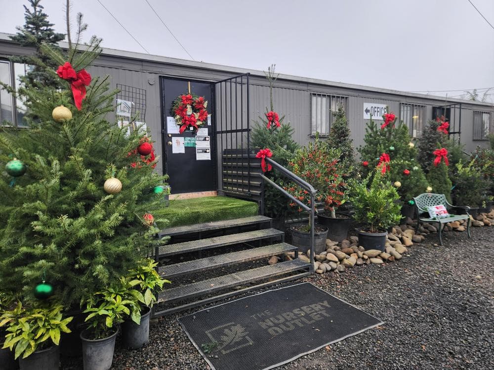 Locally grown nursery plant photo 126 at The Nursery Outlet
