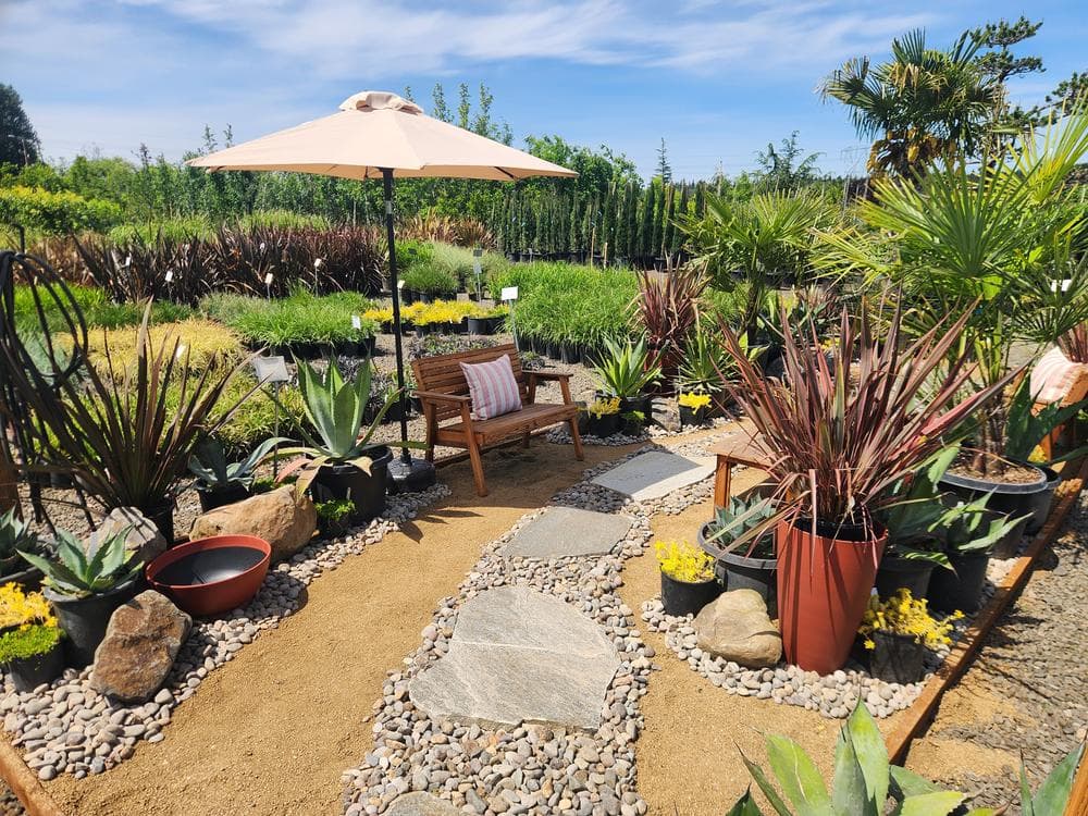 Locally grown nursery plant photo 21 at The Nursery Outlet