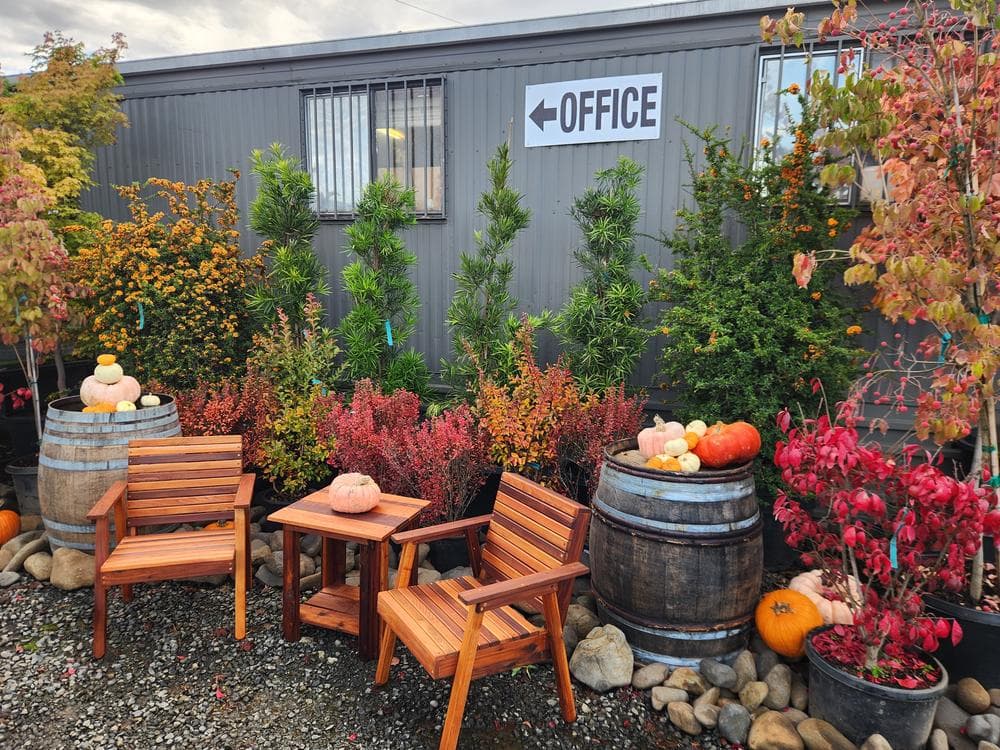 Locally grown nursery plant photo 4 at The Nursery Outlet