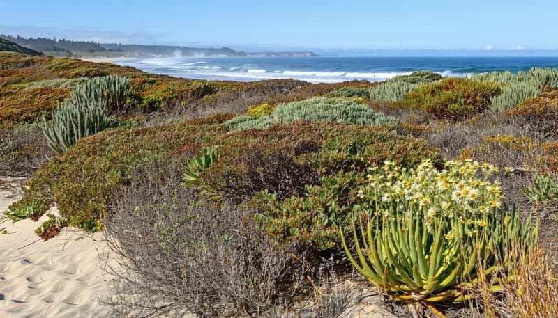 Best Coastal Oregon Native Plants background