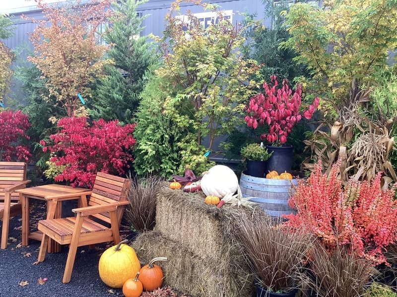 Fall Tree & Shrub Planting in Oregon
