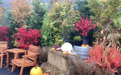 Fall Planting of Trees and Shrubs in Oregon: The Ultimate Guide to Autumn Planting