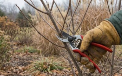 Winter Pruning in Oregon: Guide for Shrubs and Grasses