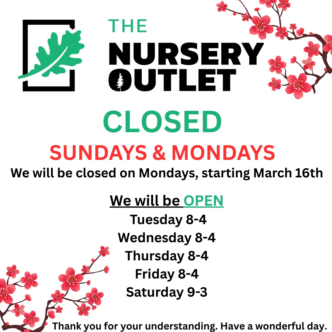 Monday closure 3.4.26