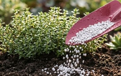 When to Fertilize in Oregon